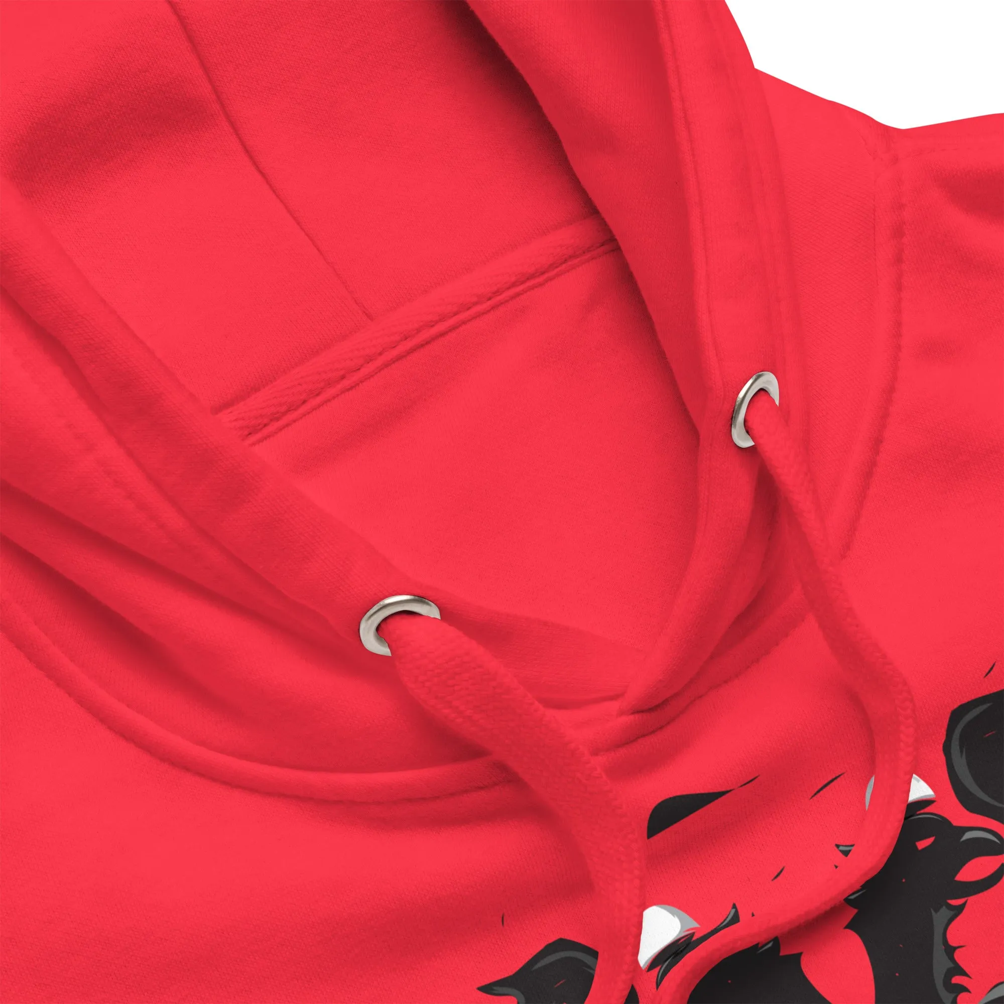 Albanian Ultras Hoodie