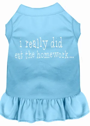 I Really Did Eat The Homework Screen Print Dress Baby Blue Xs