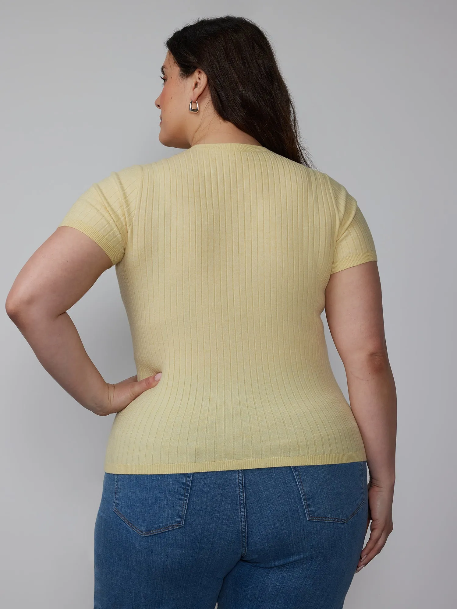 Plus Ribbed Crew Neck Sweater Tee